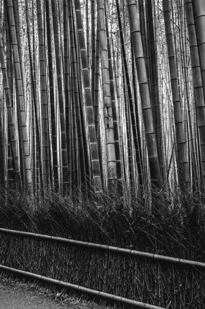 Kyoto
