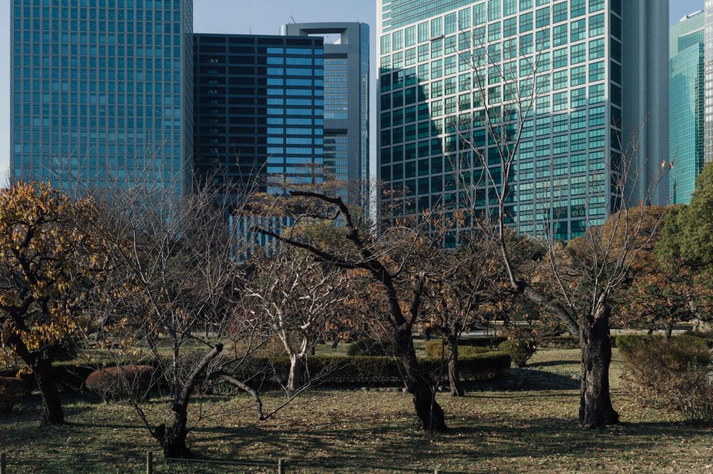 Tokyo cityscape