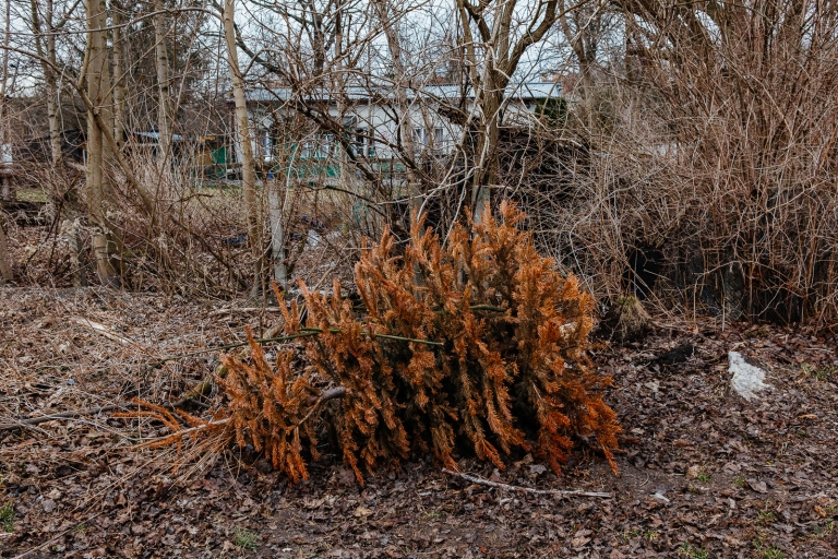 Pierwszy dzień wiosny